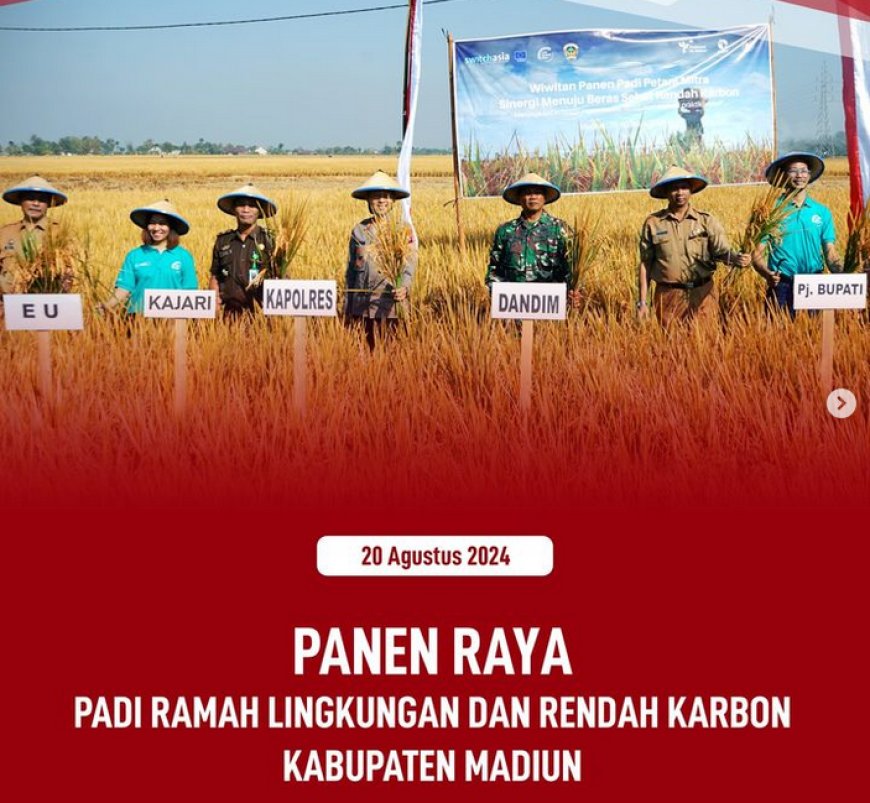 Panen Raya Padi Ramah Lingkungan dan Rendah Karbon