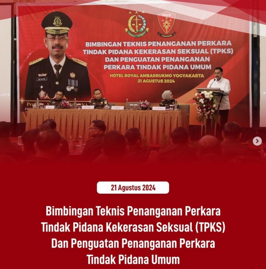 Bimbingan Teknis Peningkatan Kapasitas Jaksa Dalam Hal Penanganan Perkara Tindak Pidana Kekerasan Seksual (TPKS)
