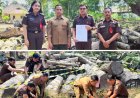 Pengecekan Barang Bukti Berupa Kayu Jati Oleh Seksi Pemulihan Aset dan Pengelolaan Barang Bukti Kejaksaan Negeri Kabupaten Madiun