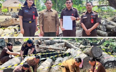 Pengecekan Barang Bukti Berupa Kayu Jati Oleh Seksi Pemulihan Aset dan Pengelolaan Barang Bukti Kejaksaan Negeri Kabupaten Madiun