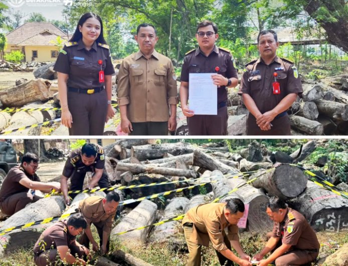 Pengecekan Barang Bukti Berupa Kayu Jati Oleh Seksi Pemulihan Aset dan Pengelolaan Barang Bukti Kejaksaan Negeri Kabupaten Madiun