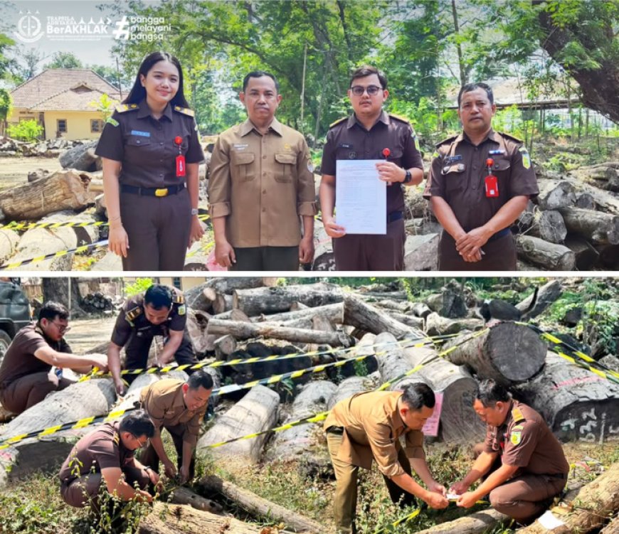 Pengecekan Barang Bukti Berupa Kayu Jati Oleh Seksi Pemulihan Aset dan Pengelolaan Barang Bukti Kejaksaan Negeri Kabupaten Madiun